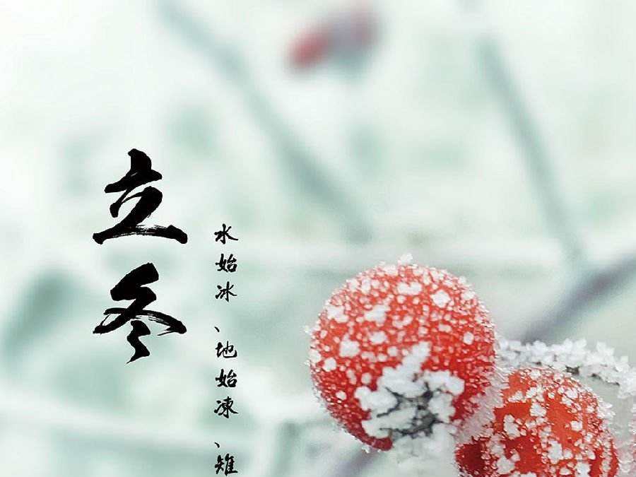 今日立冬，啟睿喊你吃餃子嘍